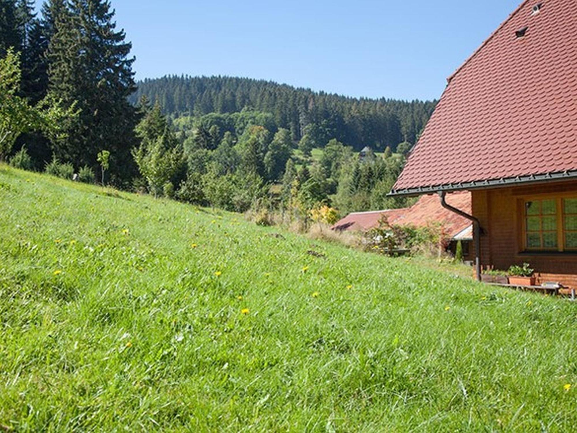 Ferienhaus Esche Hinterzarten Exterior foto