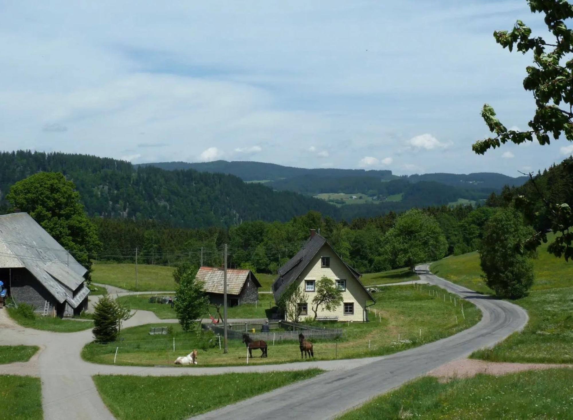 Ferienhaus Esche Hinterzarten Exterior foto